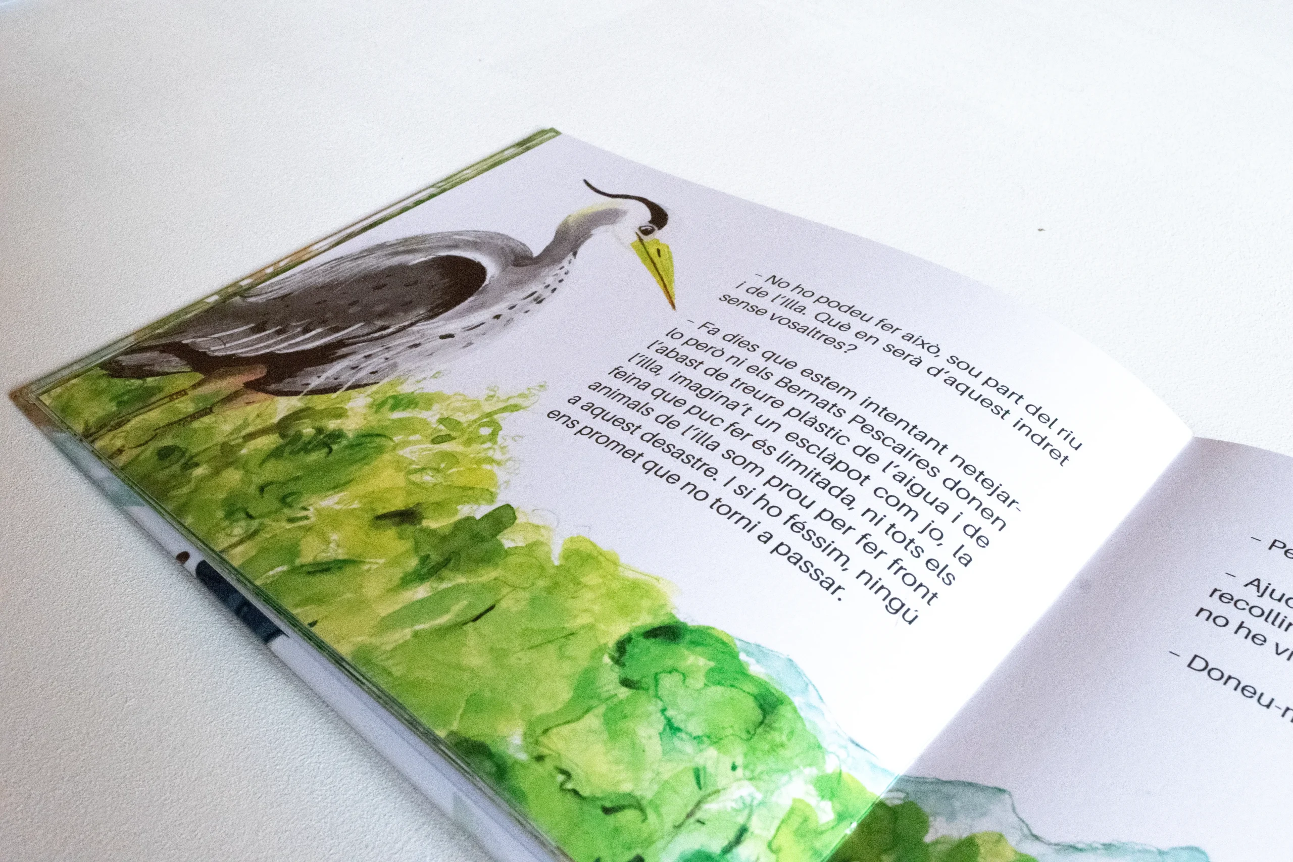 Il·lustració i maquetació del llibre infantil l'Aran